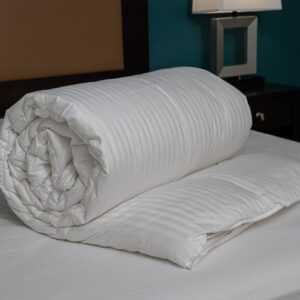 Duvet Insert
